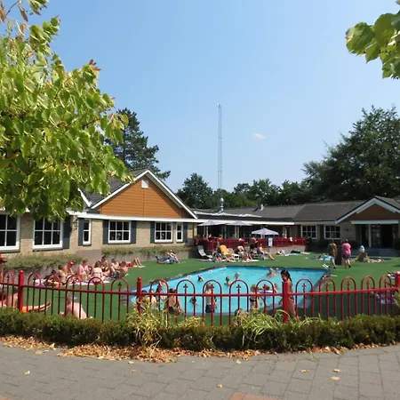 Nieuw! Boshuisje Veenvink Op Landgoed De Ijsvogel Chalet