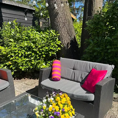 Boshuisje Veenvink Met Prive Sauna * Voorthuizen